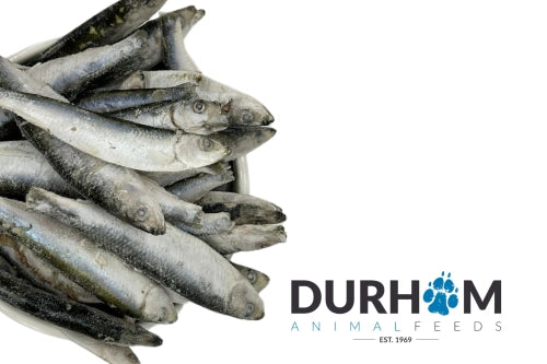 Durham Animal Feeds Sprats 1kg
