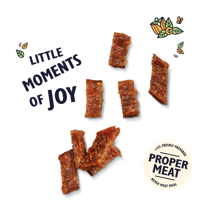 Lily's Kitchen Puppy Nibbles Chicken & Turkey 70g