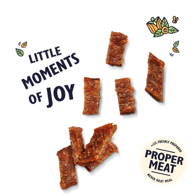 Lily's Kitchen Puppy Nibbles Chicken & Turkey 70g