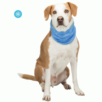 Trixie Cooling Bandana Blue Small