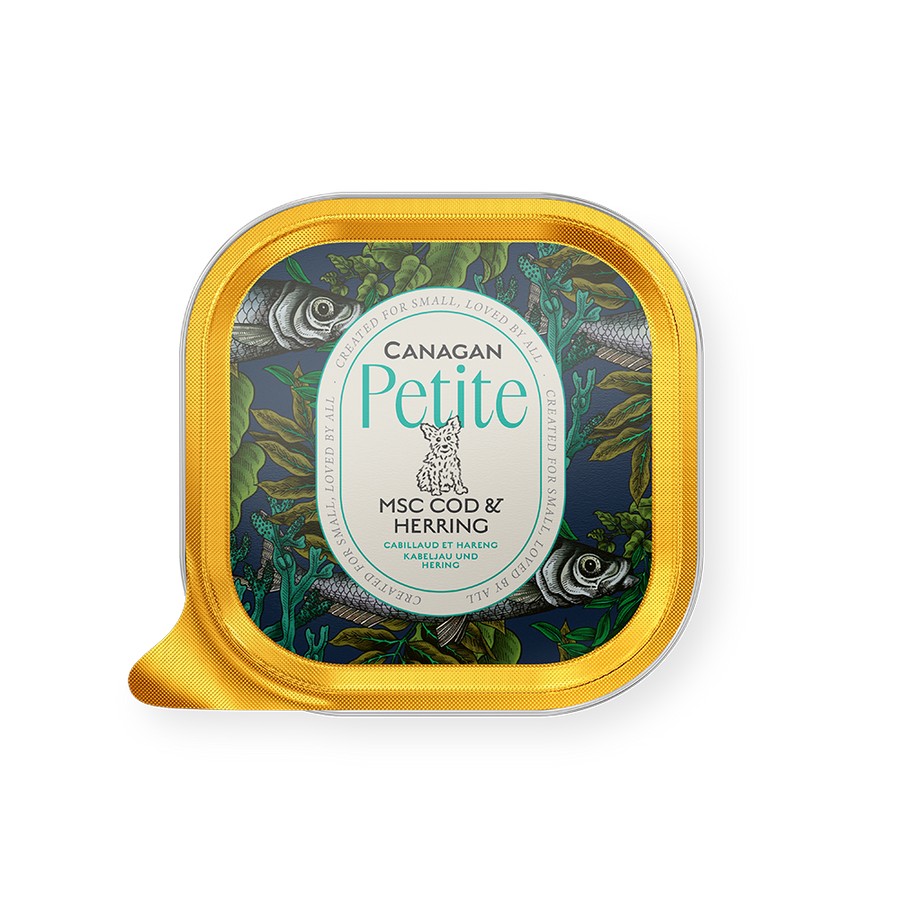 Canagan Petite MSC Cod & Herring Pate 100g