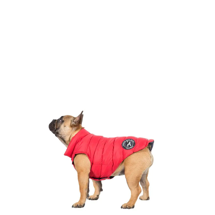 TresPaws Dogby Down Jacket Red