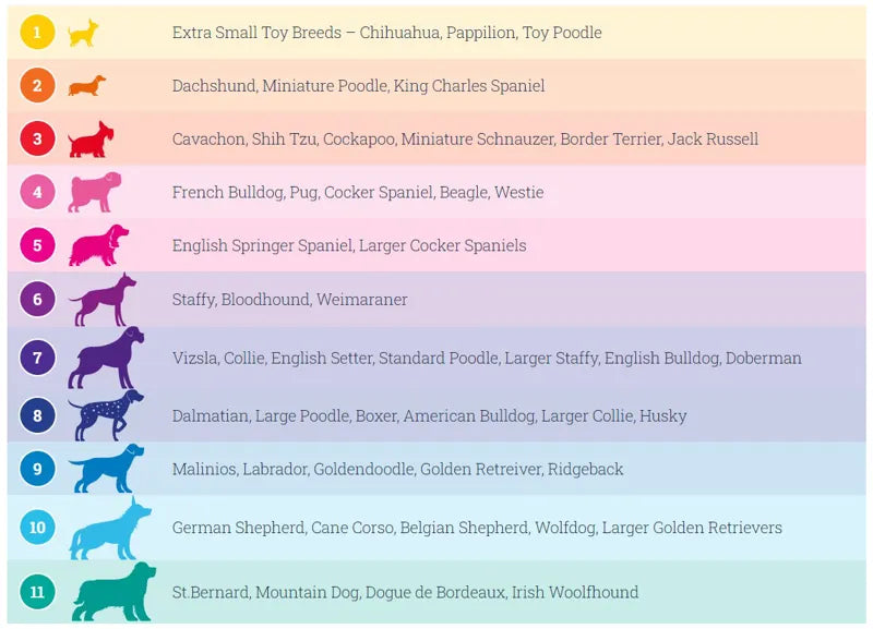 Doodlebone Puffer Jacket