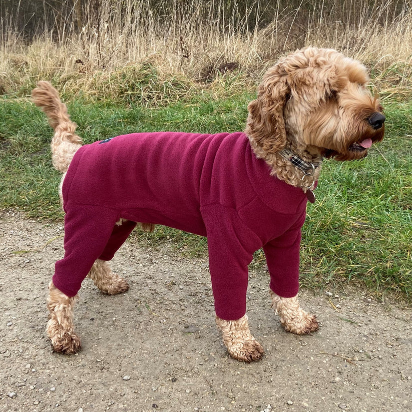 Pawsome Suits 4 Leg Dog Suit Polar Fleece