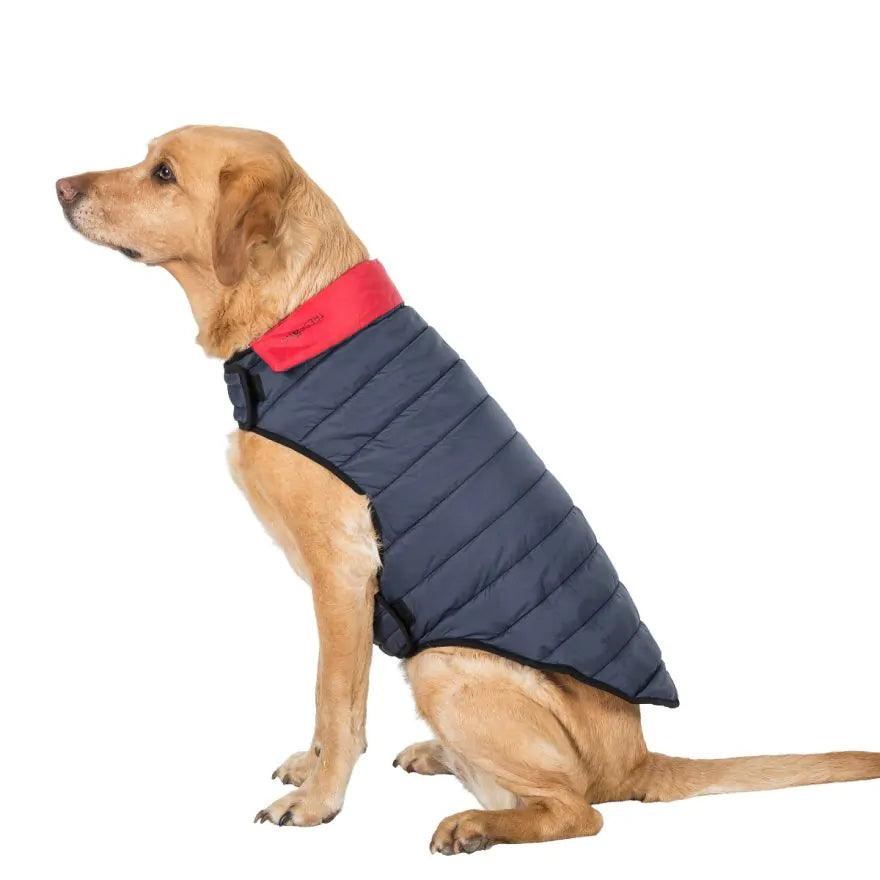 TresPaws Kimmi Quilted Dog Jacket Flint Grey