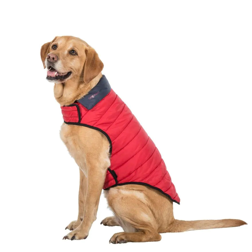 TresPaws Kimmi Quilted Dog Jacket Flint Grey