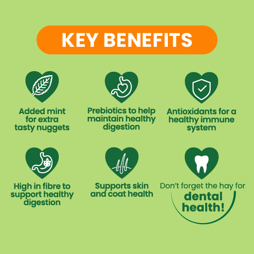 Burgess Excel Guinea Pig with Mint 1.8kg