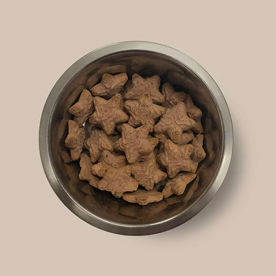 Pointer Stars with Cheese 10kg