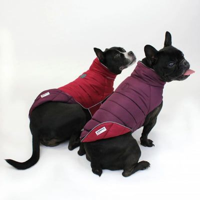 Doodlebone Puffer Jacket