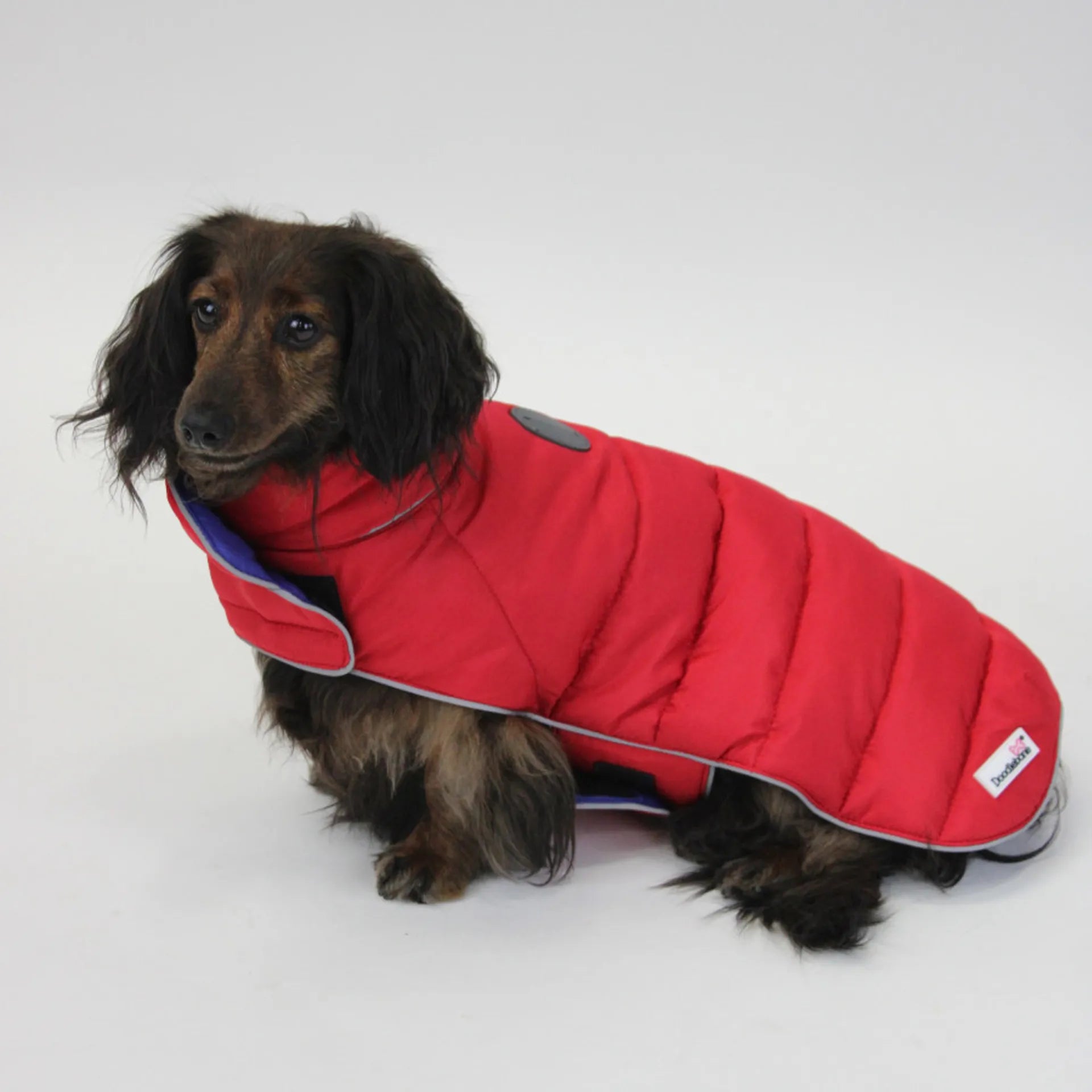 Doodlebone Puffer Jacket