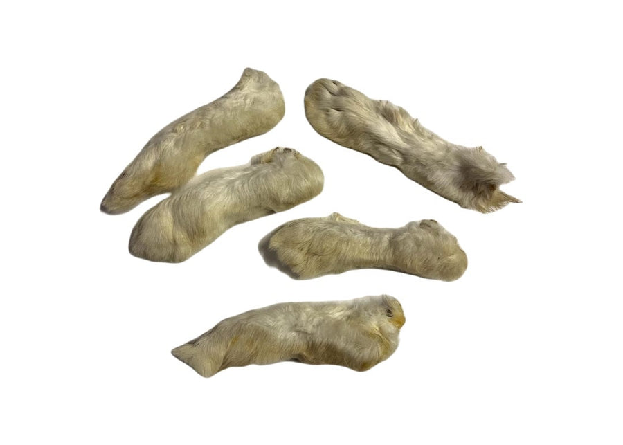 Rabbit Feet with Hair