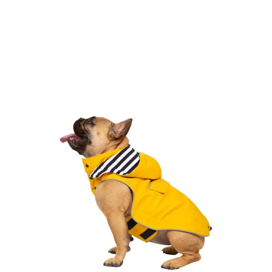 TresPaws Seadog Dog Raincoat