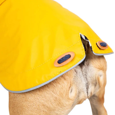 TresPaws Seadog Dog Raincoat