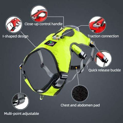 Dry Dogs Sighthound Escape Proof Harness