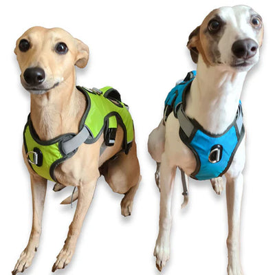 Dry Dogs Sighthound Escape Proof Harness