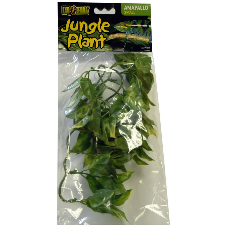 Exo Terra Amapallo Plant