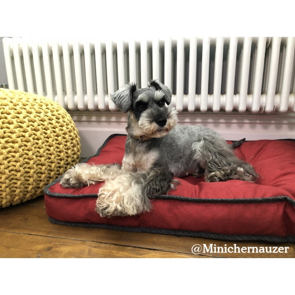 Padded Mattress Red 70cm