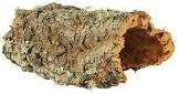 8 cork boards L: up to 55 cm