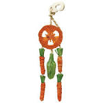 Carrot Dream Catcher
