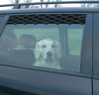 Ventilation Lattice for Car Windows 