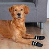 Dog socks, non-slip XL, 2 pcs., black