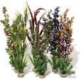 Aqua Deluxe Plants - Decorations
