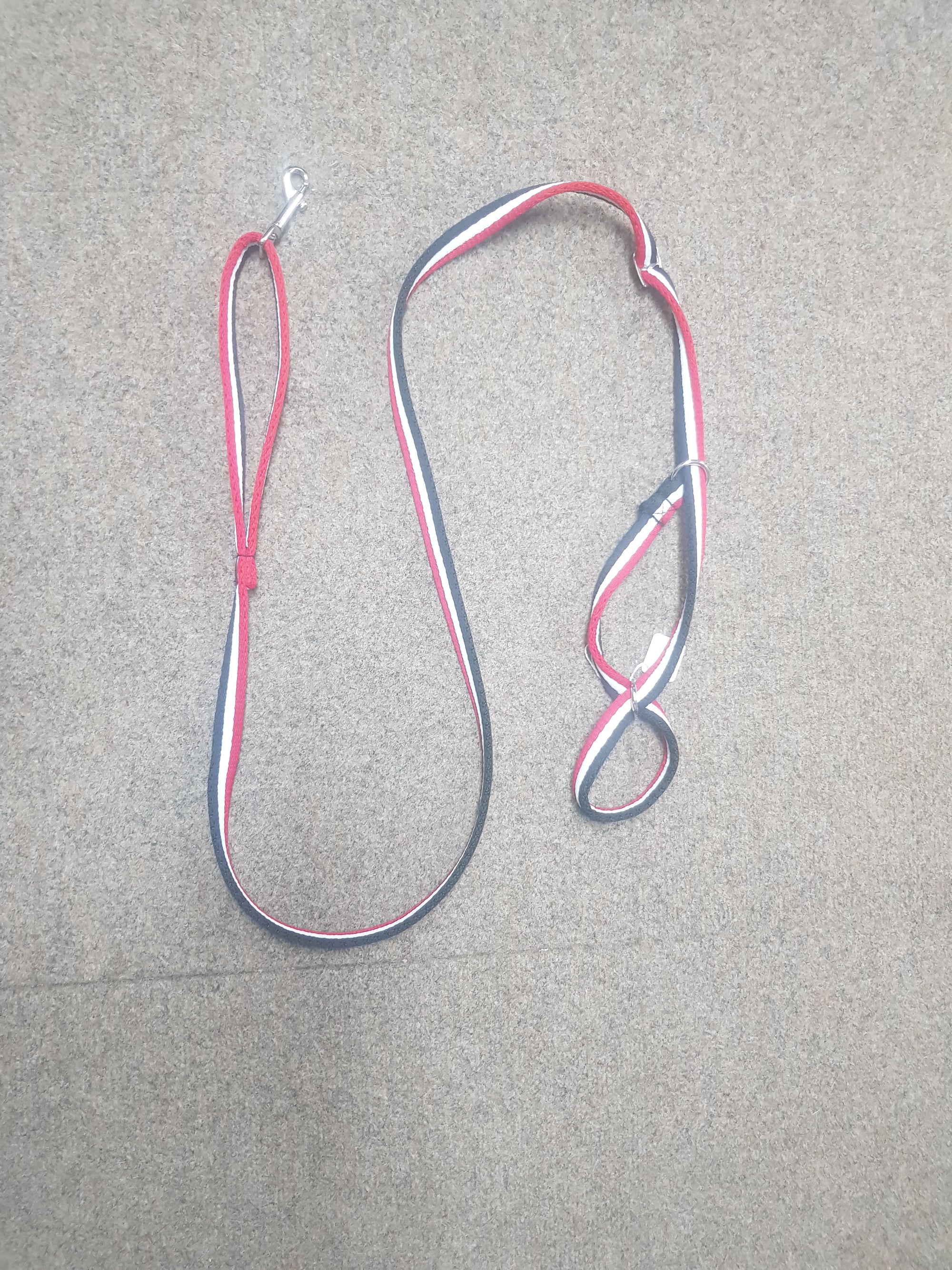 Figure 8 Training Lead Large