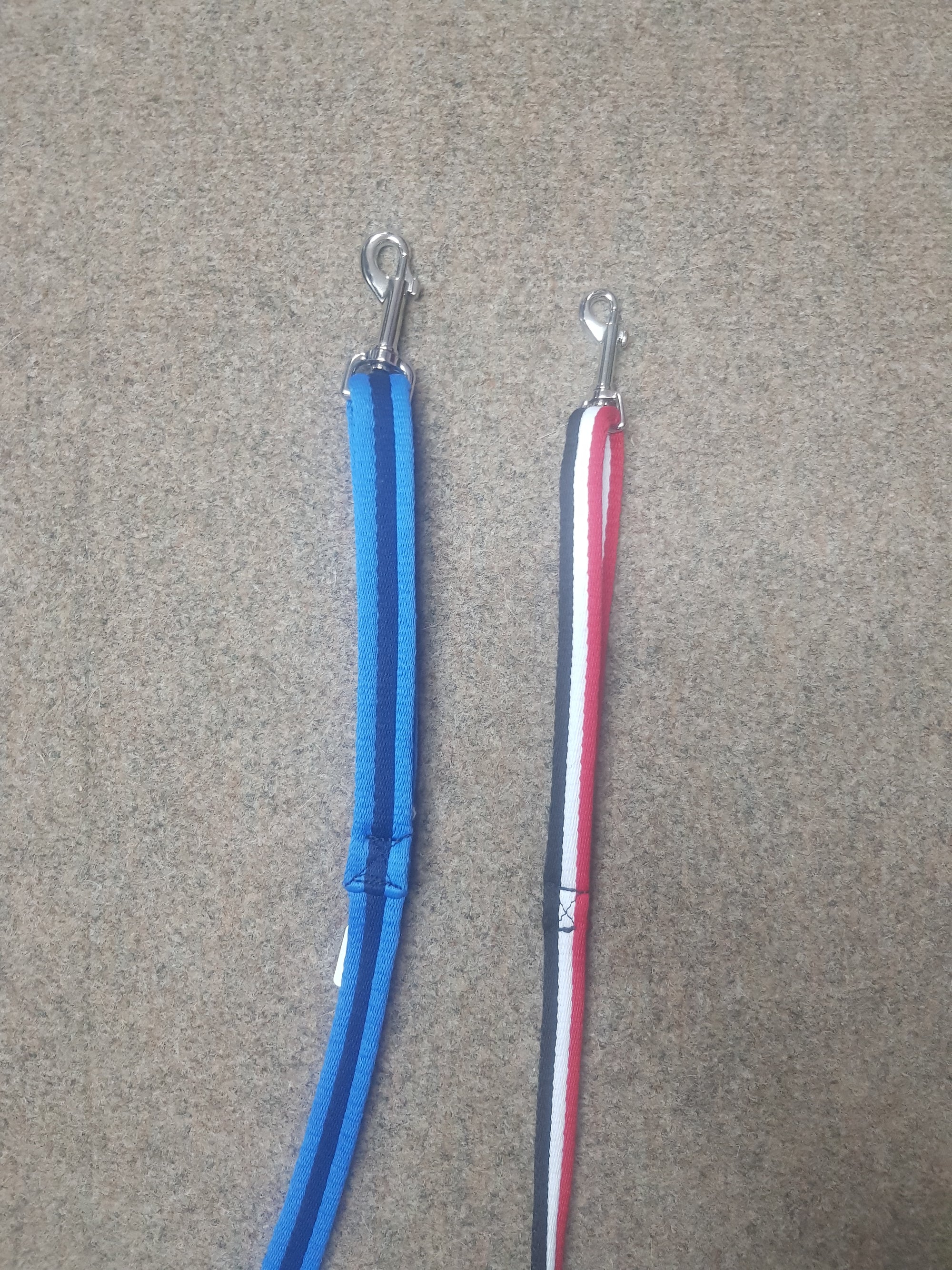 Figure 8 Training Lead Large