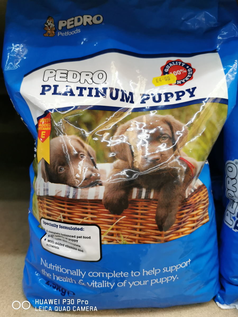 Pedro Platinum puppy 2.5kg