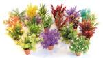 Sydeco Decor Aquaplant Mixed Small In Pot 15cm