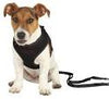Puppy harness with lead 33–47 cm/10 mm, 2.00 m, black