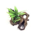 Blue Ribbon Decor Mopani Wood W/plants Medium 33 X22 X15cm