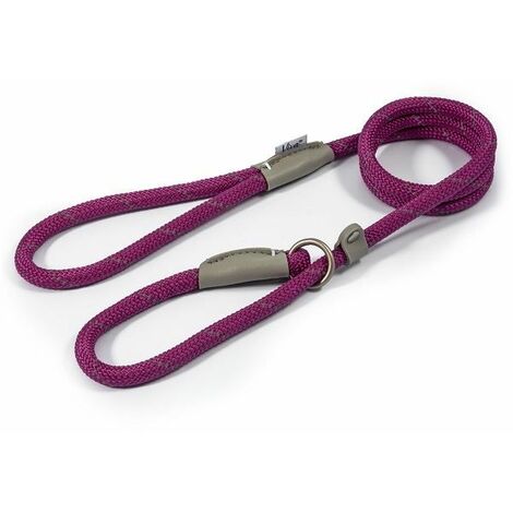 Ancol Viva Rope Reflective Slip Lead
