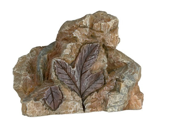 Aquarium Fossiles fresh or Saltwater various designs 10 cm, Fish Tanks