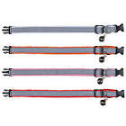 Kitten collar, reflecting, nylon