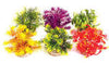 Sydeco Coloured Plants Jungle Small 15cm