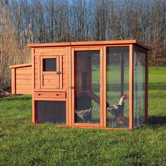 natura chicken coop, 173