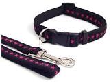 Wag N Walk Nylon Lead Star Black/hot Pink 40" X 3/4"