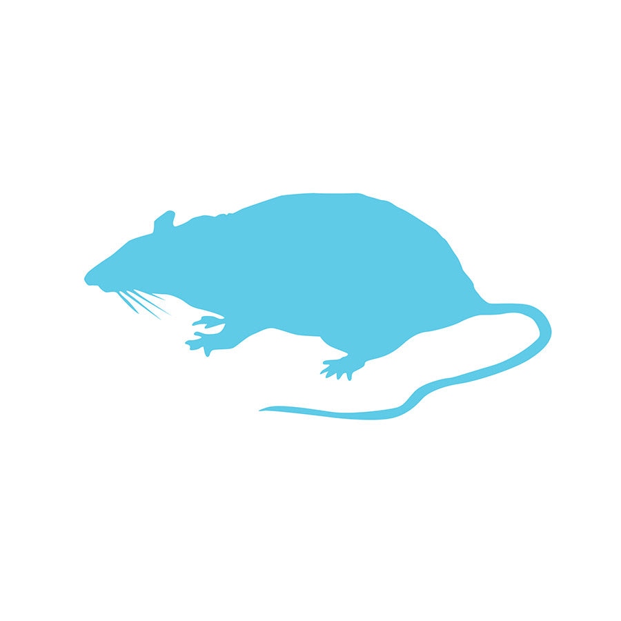 Frozen Rat Fuzzies 11-25g  Barcode 10-pack