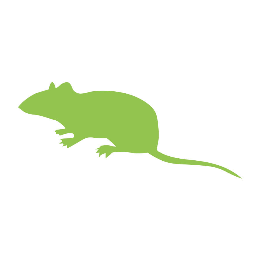 Frozen Mice Medium 20g+  Barcode 10-pack