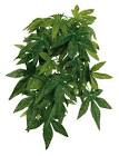 Silk hanging plant, Abutilon 20 × 30 cm