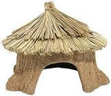 Edible Play Shack -  XL