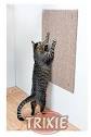 Scratching board 50 x 70 cm, taupe