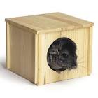 CHIN HUT