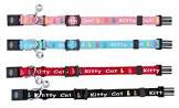 Kitten collar, nylon-1