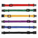 Puppy collars M–L: 22–35 cm/10 mm, 6 pcs