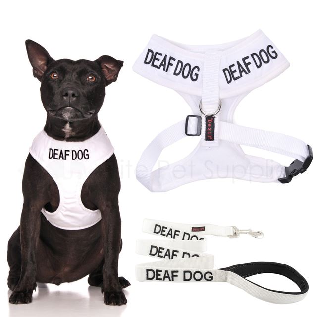 Deaf Dog Vest Harness