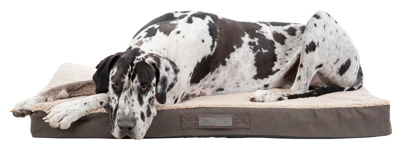 Bendson Vital Dog Mattress