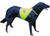 Safety vest for dogs M
