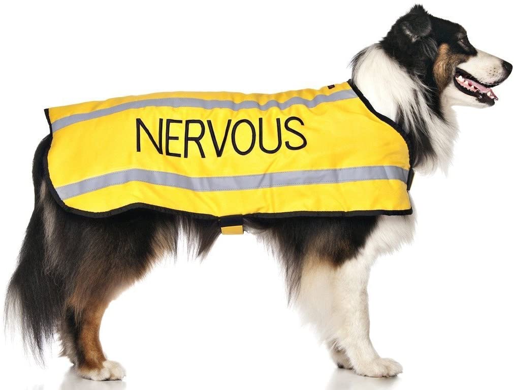 Nervous Coat